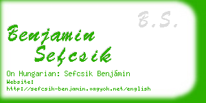 benjamin sefcsik business card